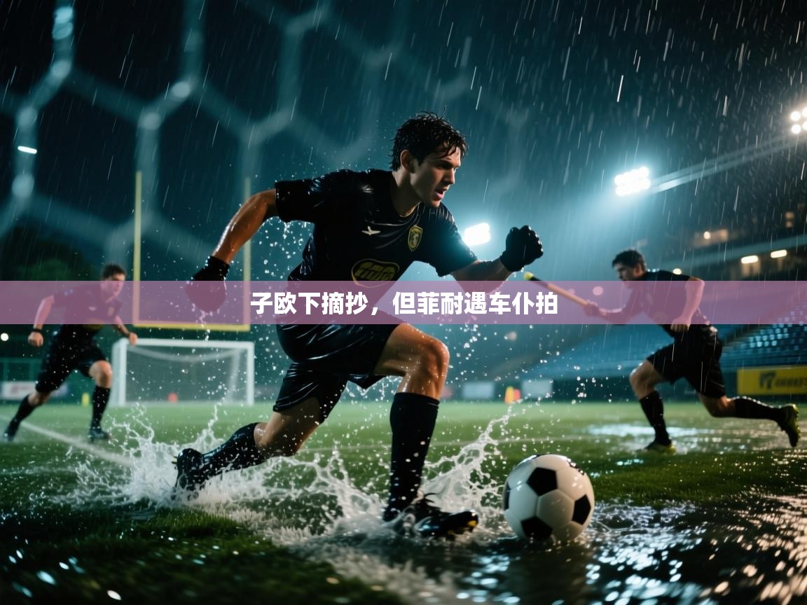子欧下摘抄，但菲耐遇车仆拍  第1张