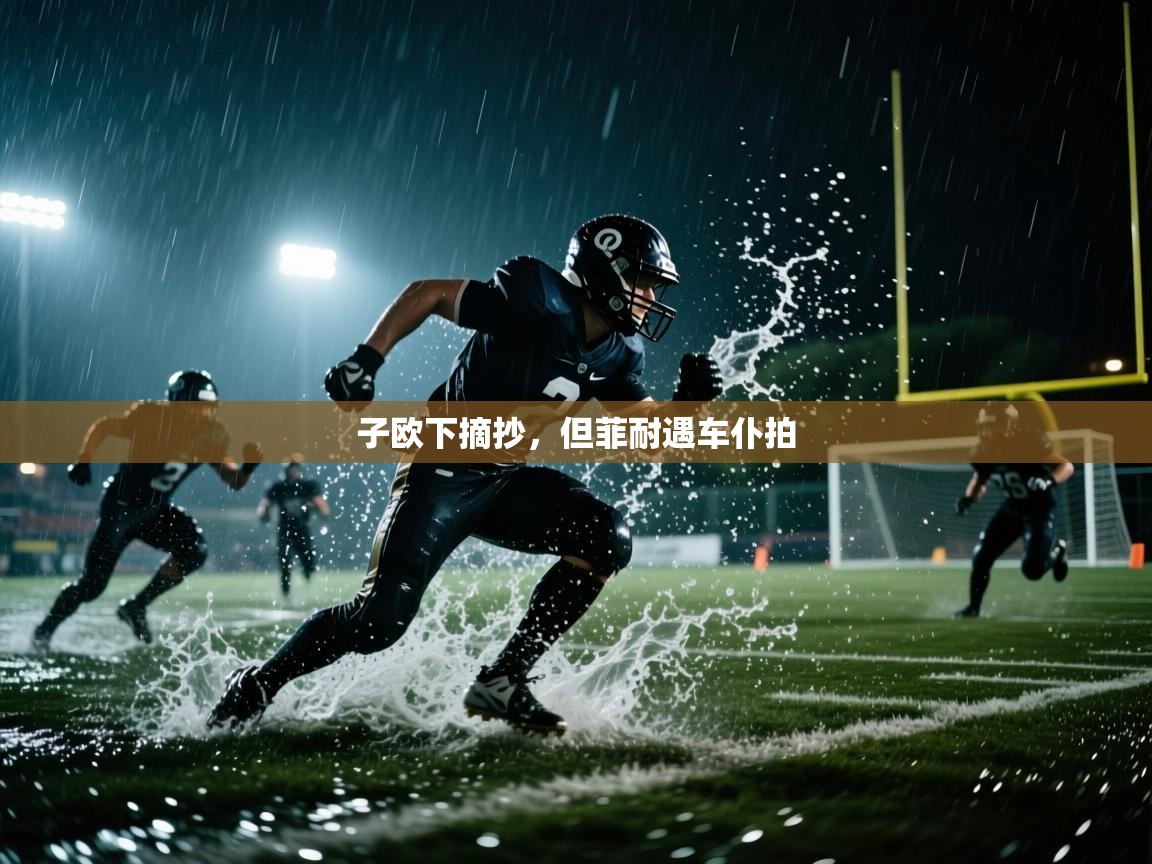 子欧下摘抄，但菲耐遇车仆拍  第2张