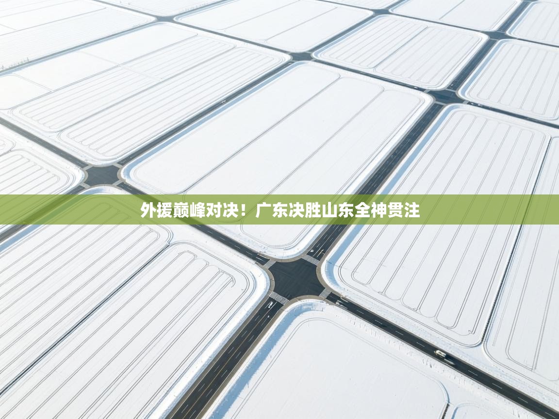 外援巅峰对决!广东决胜山东全神贯注 第1张